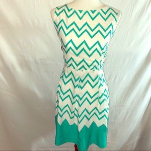 Pink Owl Fit & Flare Dress